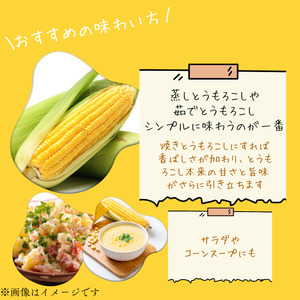 東庄町産　朝採り　とうもろこし（おおもの）　5kg ／ とうもろこし トウモロコシ おおもの 朝採り 産地直送 千葉県 東庄町 送料無料