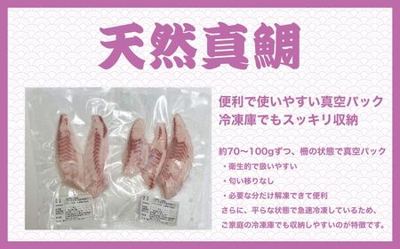 瀬戸内「天然」真鯛 お刺身用 500g 柵でお届け（急速冷凍）便利な小分け 100gパック 【鯛 マダイ タイ 鯛めし 鯛茶漬け ブロック 海鮮 魚介 即日加工 鮮度抜群 個包装 おせち 正月 正月料理】