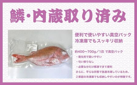 瀬戸内 天然真鯛 丸ごと姿(うろこ・内臓除去済) 4～6匹入り 合計2kg｜たい タイ 鯛 真鯛 急速冷凍 下処理済み 刺身 焼き魚 塩焼き カルパッチョ【お正月 おせち お食い初め 百日祝い 祝い事におすすめ】