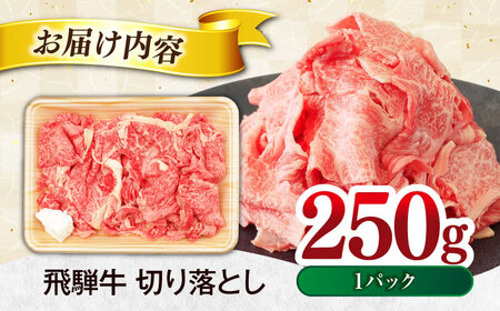 飛騨牛 切り落とし 250ｇ 1パック【土岐市観光協会】[MHI001]