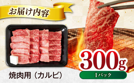 飛騨牛 焼肉用(カルビ) 300g 【土岐市観光協会】[MHI003]