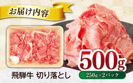 飛騨牛 切り落とし 500ｇ(250g×2パック) 【土岐市観光協会】[MHI005]