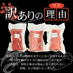【スピード発送】 訳あり 天然本まぐろ 中トロ600g以上 まぐろ