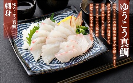 【14営業日以内発送】【premiumfishbrand】 ゆうこうシマアジ （活〆） ×1尾 （約1kg） 、 ゆうこう真鯛 （活〆） ×1尾 （約1.5kg） ／ シマアジ しまあじ 鯵 アジ あじ 真鯛 真鯛 マダイ まだい 鯛 タイ たい ゆうこう ブランド魚 魚 海鮮 九州 長崎県 長崎市 冷蔵