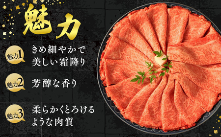[A5等級] 飛騨牛 霜降り 牛肉 すき焼き ・ しゃぶしゃぶ 用 ロース スライス1.2kg A5 ※離島への配送不可