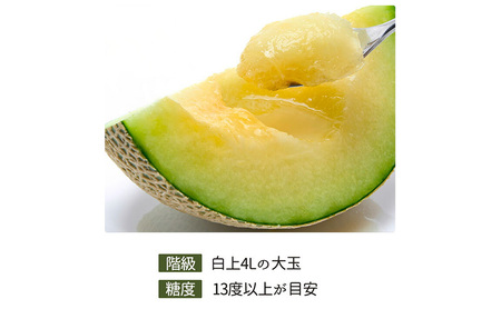 【静岡県浜松市産】アールスメロン約1.5kg以上×2玉  白等級 【配送不可：離島】メロン melon フルーツ 果物 静岡 浜松市