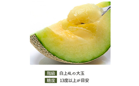 【静岡県浜松市産】アールスメロン約1.5kg以上×6玉  白等級 【配送不可：離島】メロン melon フルーツ 果物 静岡 浜松市