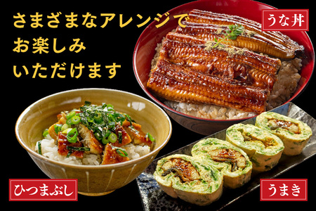 店内調理 「お魚屋さんのうなぎ蒲焼き」(H032148)