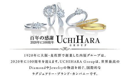 ARC-EN-CIEL PTダイヤピアス（計 0.20ct）