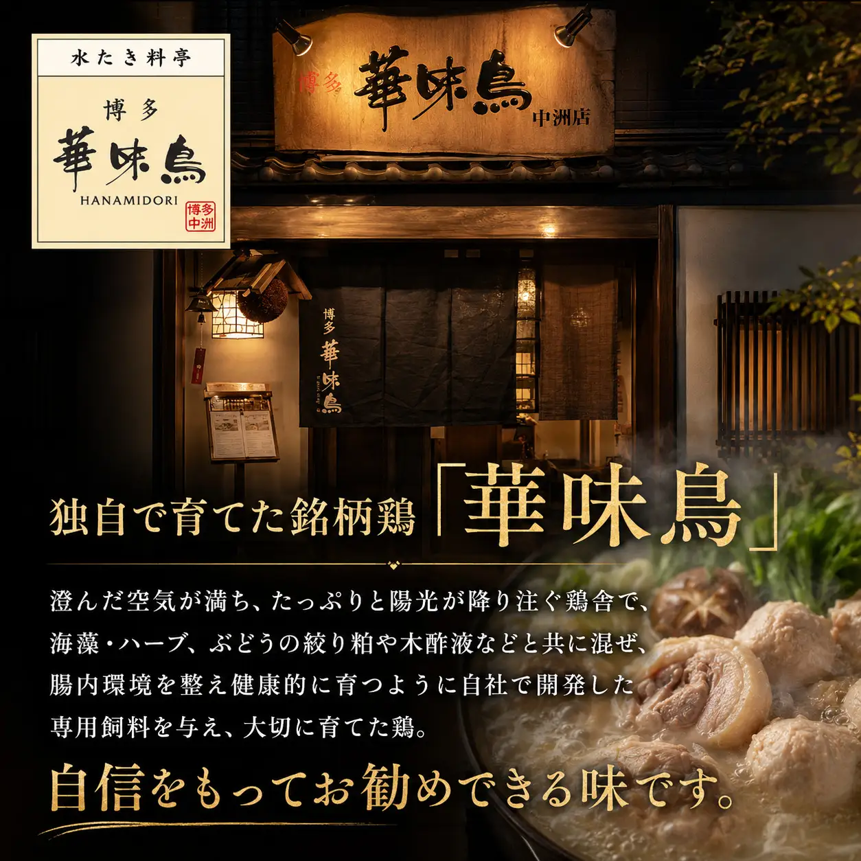 博多名物 水炊き定期便【隔月定期便（計3回発送）】 [M976-1]