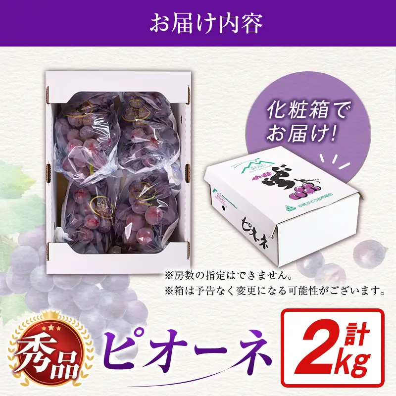 【令和8年発送 先行予約】小林市産 ピオーネ 2kg（ぶどう ブドウ ピオーネ フルーツ 果物 くだもの 先行受付 限定）