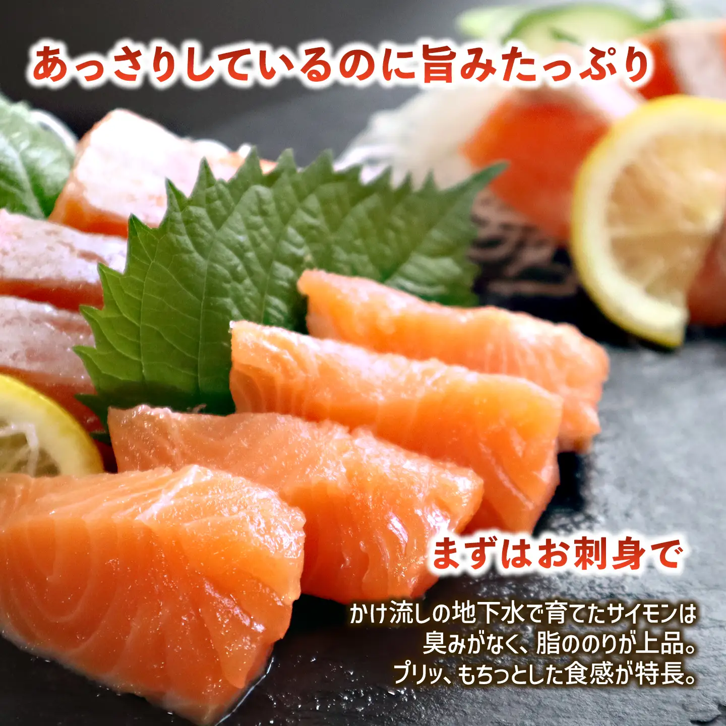 国産サーモン】西条産陸上養殖サーモン「サイモン」冷凍フィーレ 約