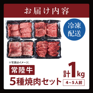 常陸牛5種焼肉セット希少部位入り（４～５人前１kg)（NW-13）