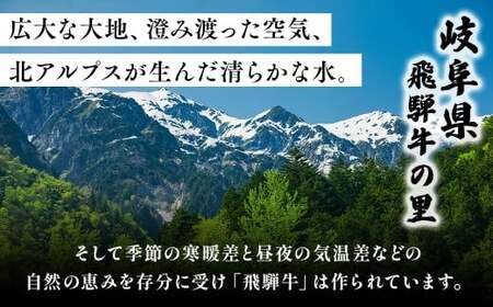 【定期便】訳あり 飛騨牛 焼き肉用 切り落とし 500g 3回 定期便 ※離島への配送不可｜牛 牛肉 国産 