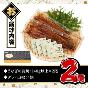 ＜丑の日先行予約受付中！＞ うなぎ 無投薬 鹿児島県産 ＜上＞(計280g以上・ 約140g×2尾) うなぎ【西日本養鰻】A1009