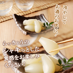 食べきりサイズ 色白美人らっきょう 国産無添加 80g×2袋　ラッキョウ 食べきりサイズ 160g おつまみ ご飯のおとも お酒のお供 野菜 旬 漬物 つけもの お漬物 常温保存 山梨県 北杜市 [h138]