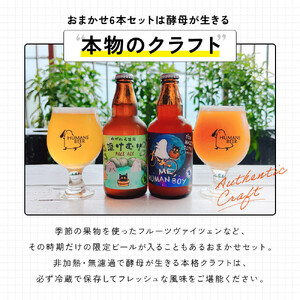 湯河原温泉のクラフトビール【ヒューマンズビア】おまかせ6本セット | 湯河原町 湯河原温泉 クラフトビール おまかせセット 醸造所