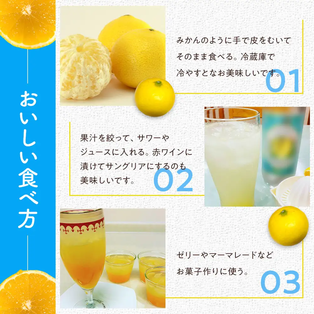 希少フルーツ】熟成・湘南ゴールド(L・Mサイズ)3kg 2027年3月上旬～3月