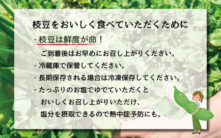 枝豆 湯あがり娘 約1kg （約200g×5袋） 【2026年6月下旬～7月下旬まで順次発送予定】｜ 野菜 豆 えだまめ おつまみ おやつ 旬 旬の野菜 旬の食材 国産 小分け 個包装 静岡 静岡県産 静岡県 菊川市