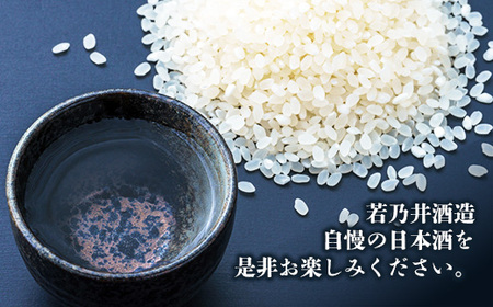 ゼロカーボン日本酒 永久酔 - 若乃井酒造 お酒 アルコール 純米 山形県 飯豊町