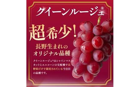 【2026年先行予約】 クイーンルージュ®（ハウス栽培） 2房 約1kg 【7月末～8月中旬にかけて順次発送予定】 