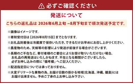 ハウスイチジク 約4kg （約250g×16パック）【2026年6月上旬発送開始】 果物 フルーツ いちじく イチジク 旬 旬の果物 旬のフルーツ 熊本県 合同会社宝ファーム