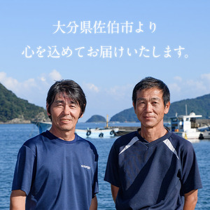 とらふぐ 刺身 セット (合計230g) ふぐ ふぐ刺し フグ 河豚 刺身 皮 鮮魚 冷凍 養殖 国産【DK19】【エイコー水産】