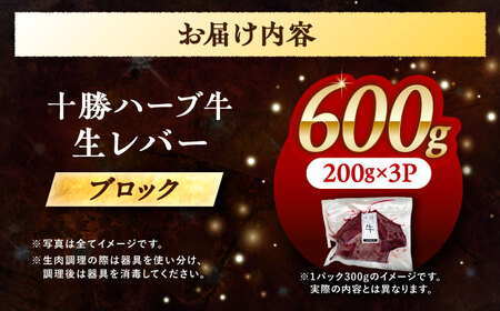 北海道 十勝 ハーブ牛 牛肉 生レバー ブロック 600g（200g×3） 《足寄町》【株式会社ノベルズ食品】[BEAQ019]