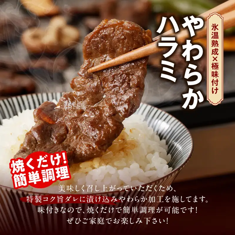 焼肉 福袋 4種セット 定期便 2kg×3回