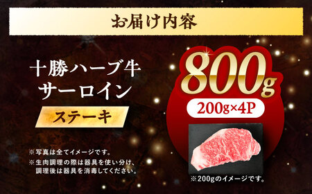 北海道 十勝 ハーブ牛  サーロインステーキ 800g （200g×4） 《足寄町》【株式会社ノベルズ食品】[BEAQ049]