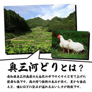 【調理済】奥三河どりの串焼き ハツ 20本 鶏肉 鳥肉 焼鳥 焼き鳥 やきとり セット 小分け 総菜 おかず おつまみ