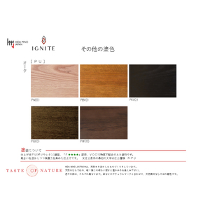IGNITE アームチェア JIG-DC3242O オーク材PNO／カプリスMULB 塗色・張地変更可