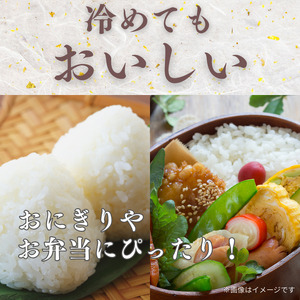 愛媛県産にじのきらめき5kg