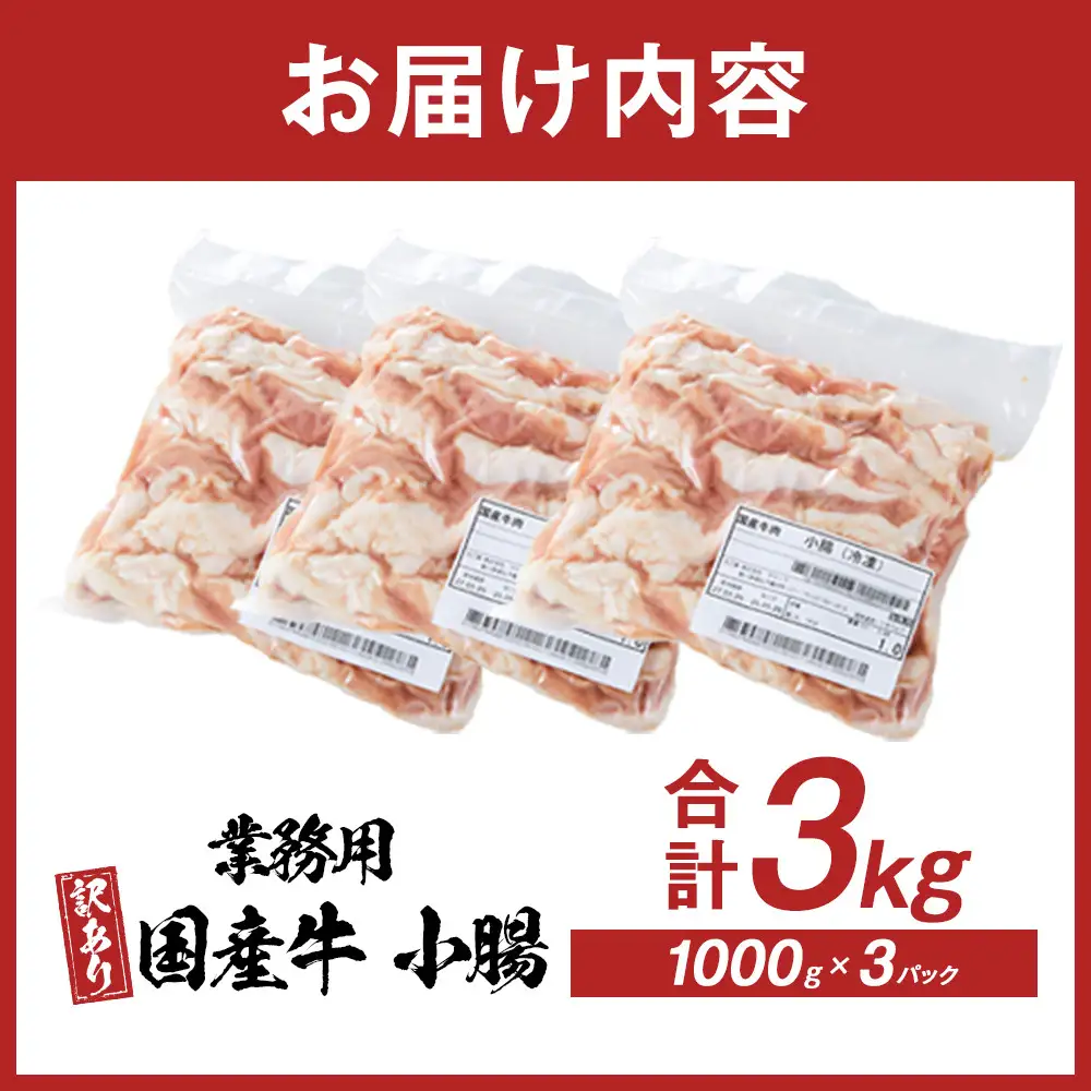 《業務用・訳アリ》国産牛　小腸　3kg