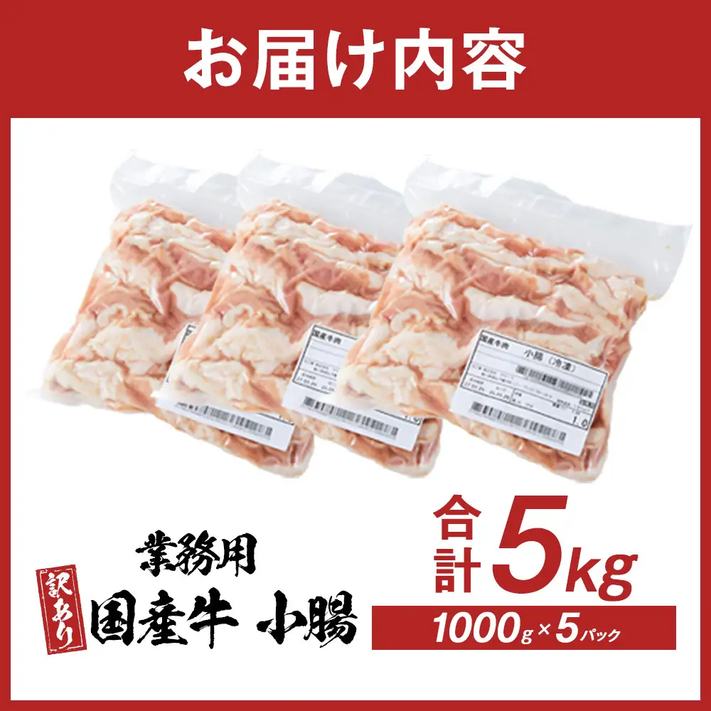 《業務用・訳アリ》国産牛　小腸　5kg