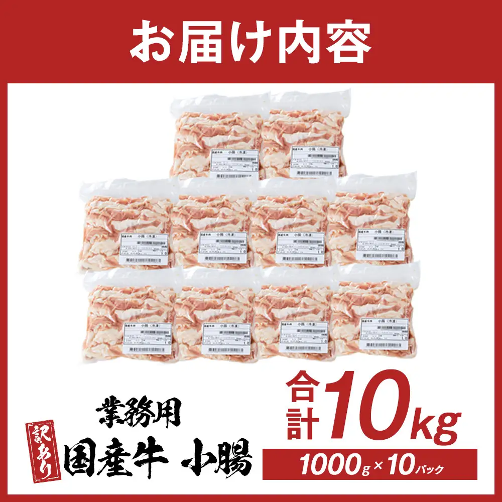 《業務用・訳アリ》国産牛　小腸　10kg
