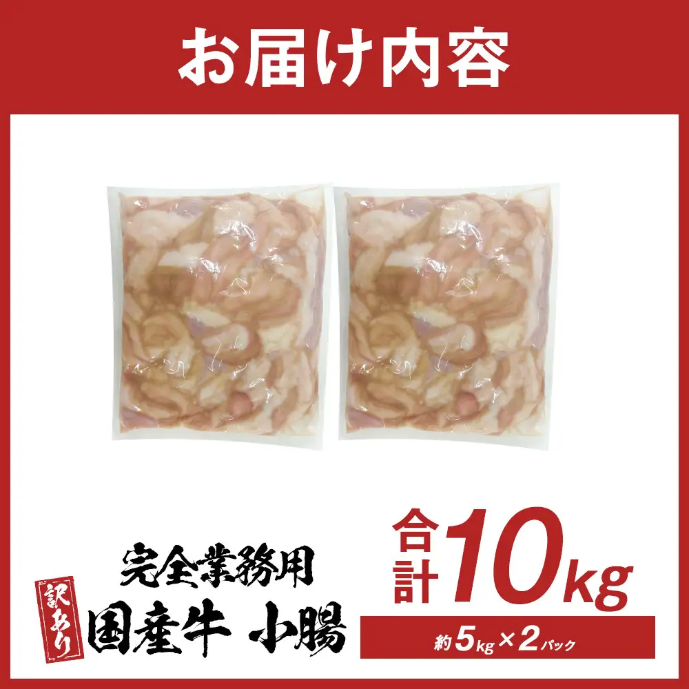 《完全業務用》国産牛　小腸　10kg