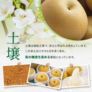 【先行予約】贈答用 信州松本平産 梨【幸水・豊水・南水】おまかせ詰め合わせセット約3kg(8～9玉）《2026年7月頃から発送》～清流と高原の風が育む、信州の香りと甘み～ 