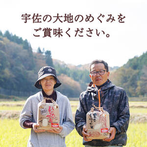 ひのひかり (計5kg) 米 お米 ひのひかり ヒノヒカリ 白米 ご飯 大分県産【118500200】【両院農産】