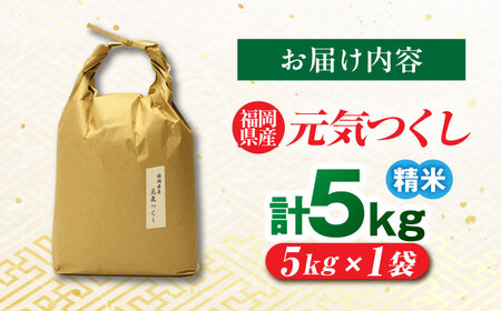 福岡県産 元気つくし 白米 5kg×1袋 [BGAF025]元気つくし
