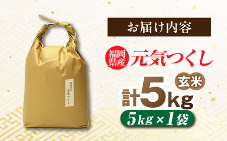 福岡県産 元気つくし 玄米 5kg×1袋 [BGAF026]元気つくし