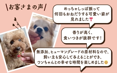 ワンちゃんのおやつ 牛 12袋 ドッグフード 犬 おやつ 無添加 グルテンフリー 国産