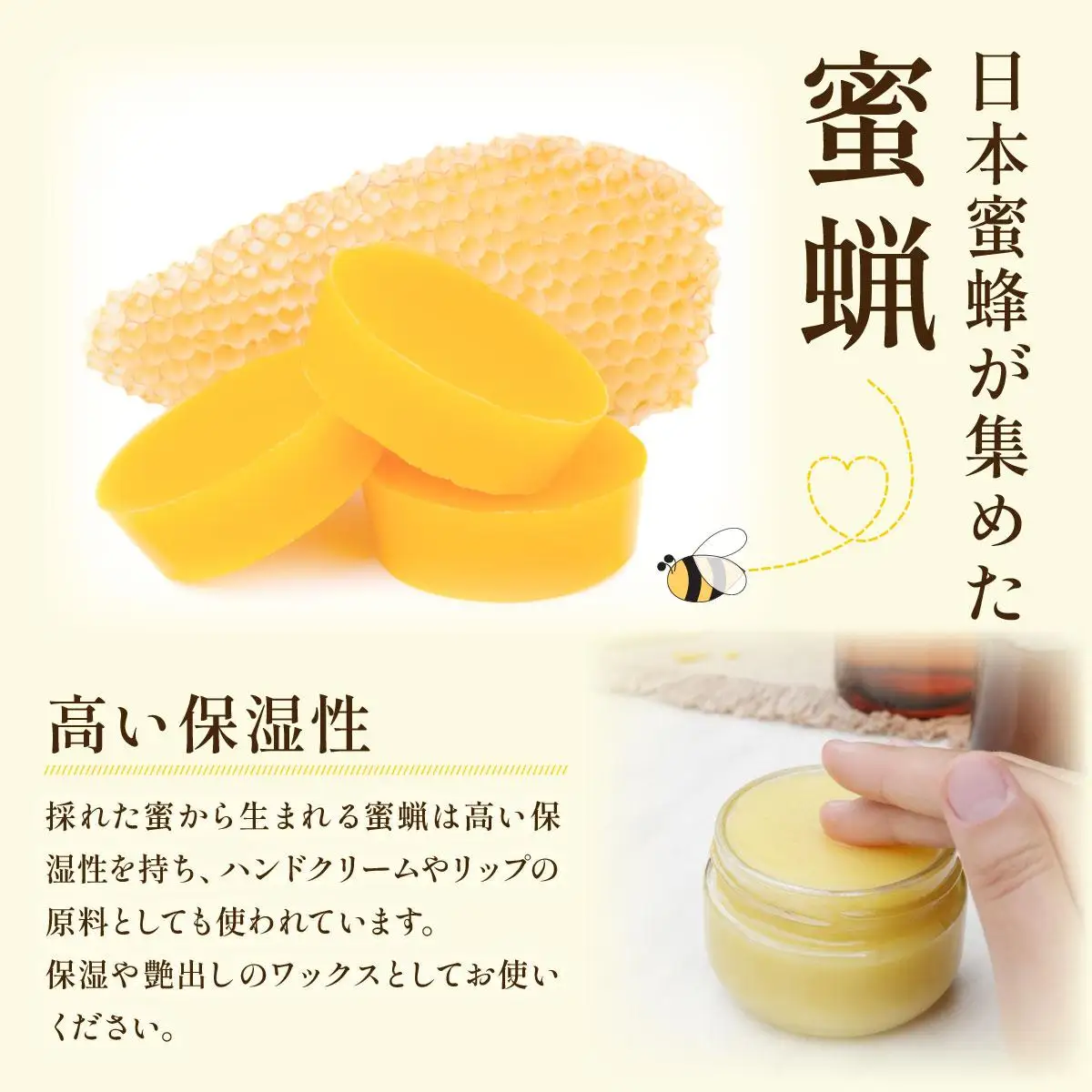 日本蜜蜂の純粋はちみつ 500g×1 蜜蝋100g付