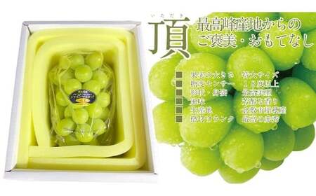 プレミアムシャインマスカット晴王 船穂Ver  赤秀ぶどう1房 約600g 【先行予約：2026年9月上旬～10月下旬発送予定】 船穂産 岡山県最高産地 赤秀品以上 岡山県産 皮ごと食べる みずみずしい 糖度保証 クール発送 満天フルーツ 倉敷市