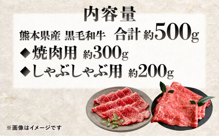 熊本県産 『原田畜産』 黒毛和牛 スライス 2種食べ比べ 計約500g（焼き肉用約300g・しゃぶしゃぶ用約200g） 牛肉 牛 【有限会社 九州食肉産業】[AYCN146]