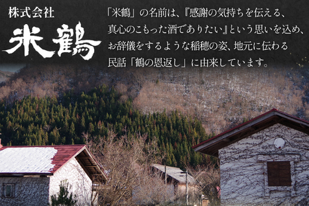 焼酎 米焼酎 疾風 25度 720ml 2本 セット [米鶴酒造 山形県 高畠町 tk06ays710006]