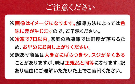 天然 まぐろ 中トロ メバチ（約200~250g（1柵入り））【横須賀商工会議所 おもてなしギフト事務局（本まぐろ直売所 横須賀本店）】[AKAK119]