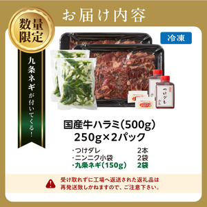 今だけ数量限定！九条ネギ付き！肉汁溢れる 国産牛ハラミ 500g 093-43-P
