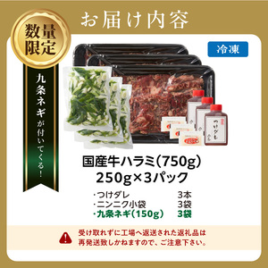 今だけ数量限定！九条ネギ付き！肉汁溢れる 国産牛ハラミ 750g 093-44-P