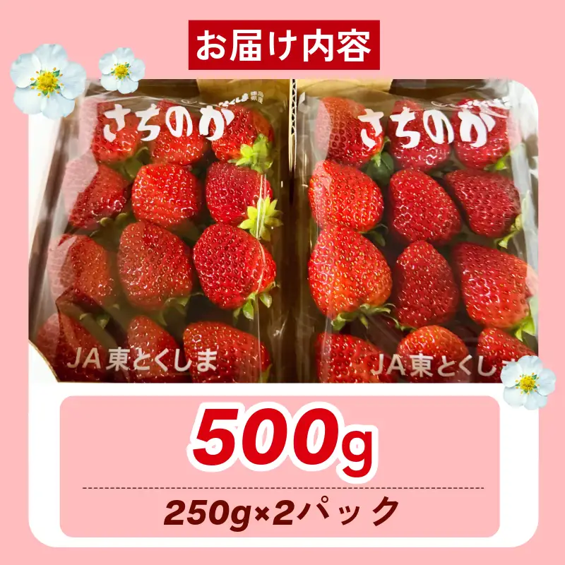 いちご 500g さちのか 苺 